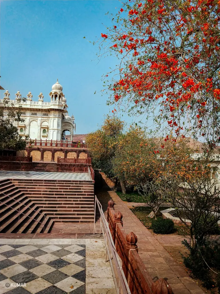 unsplash_53Vqsh7wRzM_Jodhpur.webp.jpg