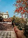 unsplash_53Vqsh7wRzM_Jodhpur.webp.jpg