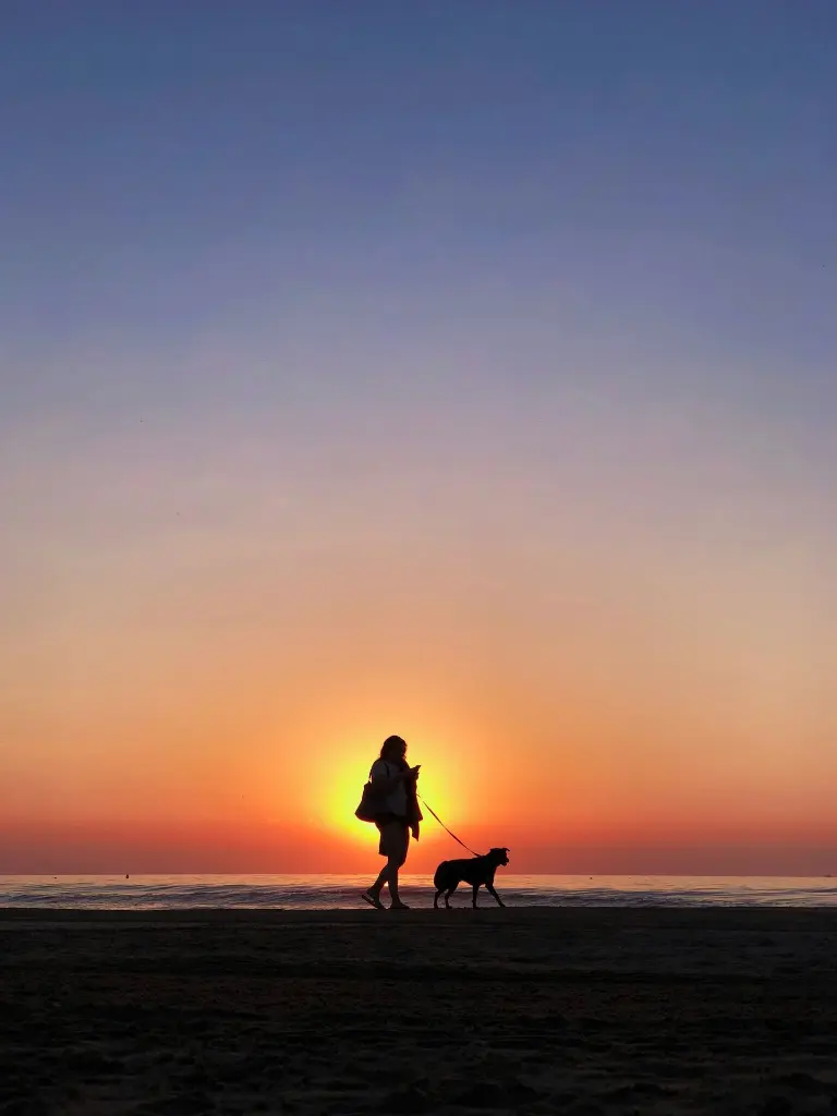 unsplash_EXuQZVd6uro_Morning walk.webp