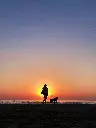 unsplash_EXuQZVd6uro_Morning walk.webp