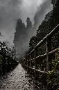 unsplash_dKawCXo5O5I_China.webp.jpg.jpg.jpg.jpg.jpg.jpg.jpg.jpg.jpg.jpg.jpg