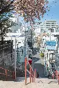 image_1920