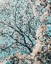 unsplash_7NBO76G5JsE_Japan.webp.jpg.jpg.jpg.jpg