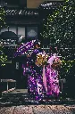 unsplash_cATZ2eHu5ys_Japan.webp.jpg.jpg.jpg.jpg.jpg