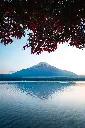 unsplash_GhvpEtG5HMs_Japan.webp.jpg.jpg.jpg.jpg.jpg.jpg.jpg.jpg.jpg