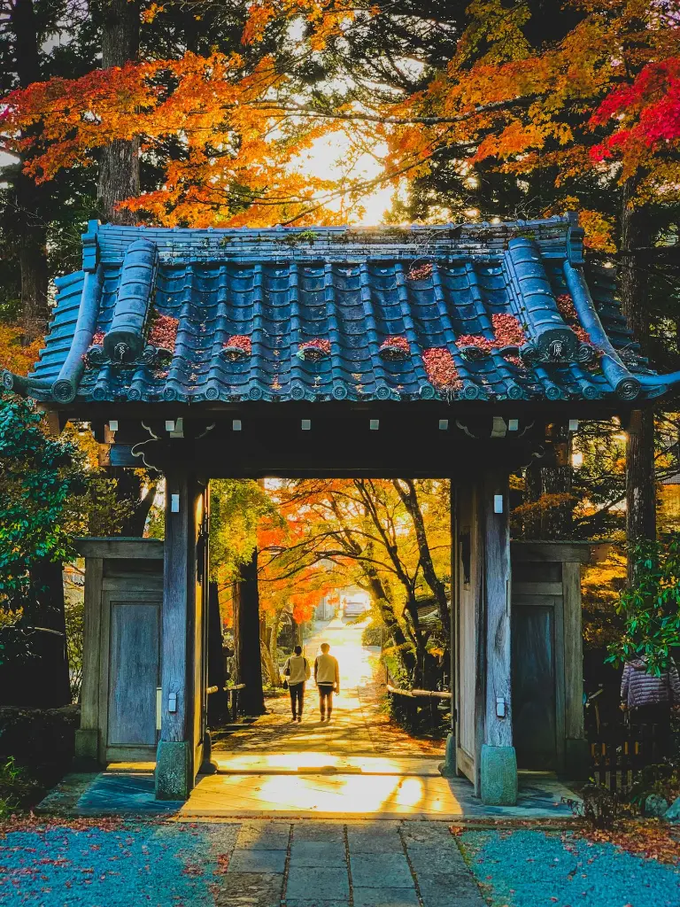 unsplash_rQgqf6ynkP8_Japan.webp.jpg.jpg.jpg.jpg.jpg.jpg.jpg.jpg.jpg.jpg