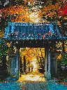 unsplash_rQgqf6ynkP8_Japan.webp.jpg.jpg.jpg.jpg.jpg.jpg.jpg.jpg.jpg.jpg