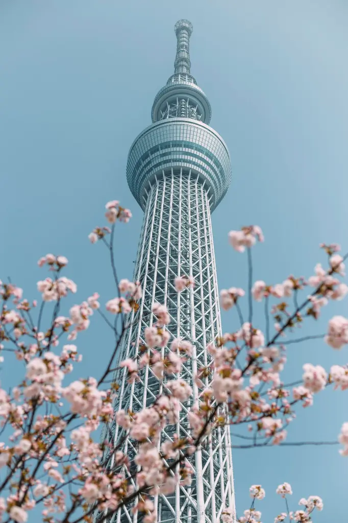 unsplash_cnRgYes6tNE_Japan.webp.jpg.jpg.jpg.jpg.jpg.jpg.jpg.jpg.jpg.jpg.jpg.jpg.jpg.jpg.jpg.jpg