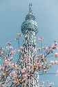 unsplash_cnRgYes6tNE_Japan.webp.jpg.jpg.jpg.jpg.jpg.jpg.jpg.jpg.jpg.jpg.jpg.jpg.jpg.jpg.jpg.jpg