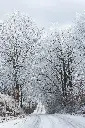 unsplash_NSNZkHwqfP8_Romania.webp