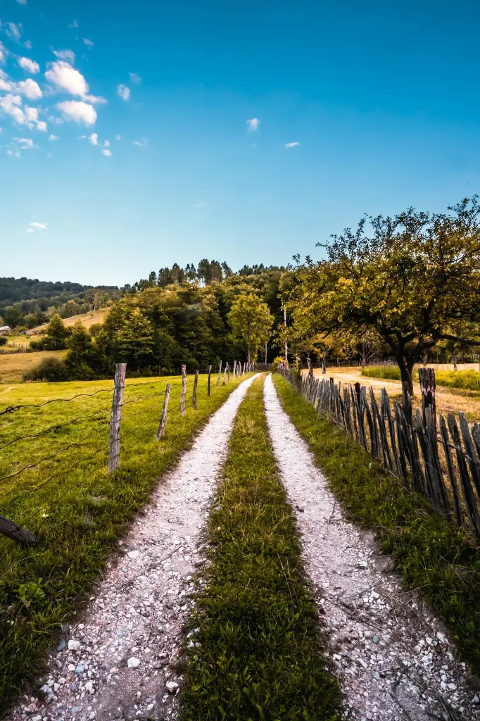 unsplash_B6NVqMK2hSs_Romania.webp.jpg.jpg.jpg.jpg