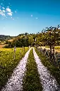 unsplash_B6NVqMK2hSs_Romania.webp.jpg.jpg.jpg.jpg