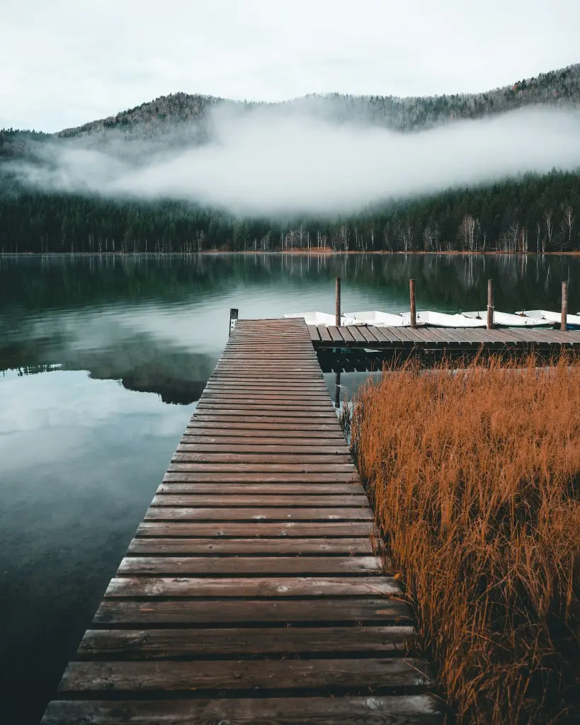 unsplash_LF1sNnXKS3g_Romania.webp.jpg.jpg.jpg.jpg.jpg