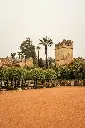 unsplash_TEBj2wDddt0_Spain.webp.jpg.jpg.jpg.jpg.jpg