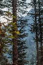 unsplash_kjY9LP-fzyU_Arunachal Pradesh.webp.jpg.jpg.jpg.jpg
