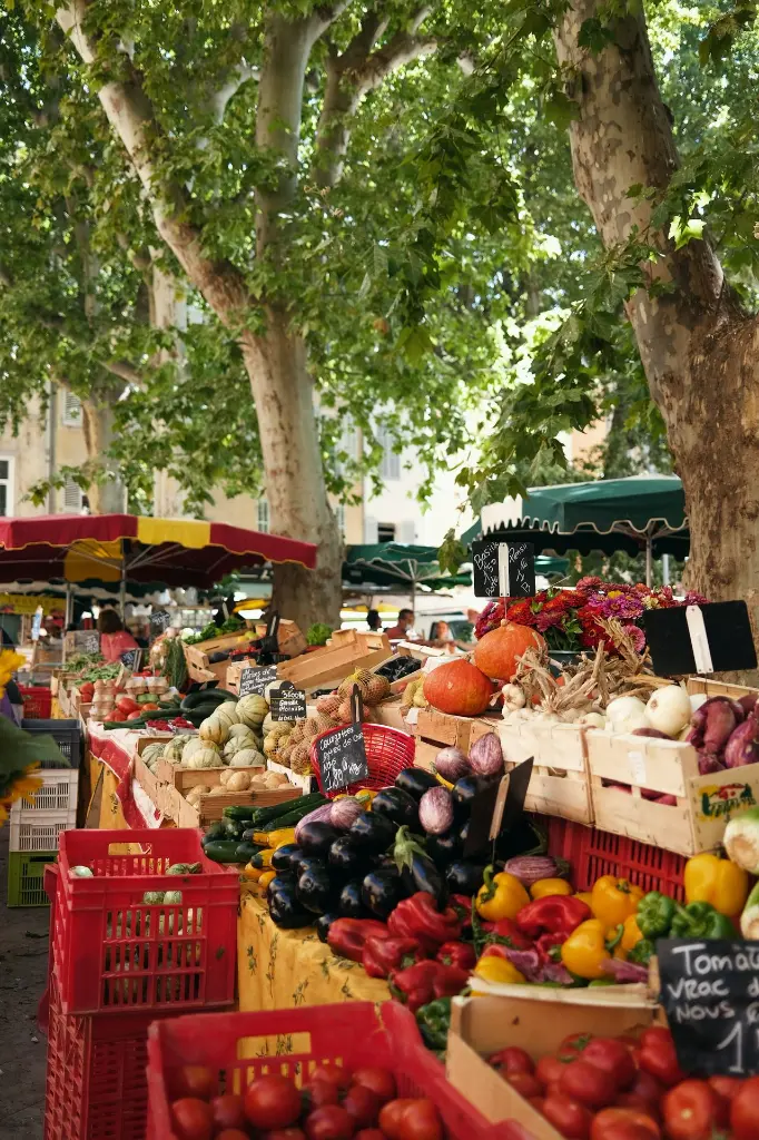 unsplash_PBvFpF3f624_France.webp.jpg.jpg.jpg.jpg.jpg.jpg.jpg.jpg