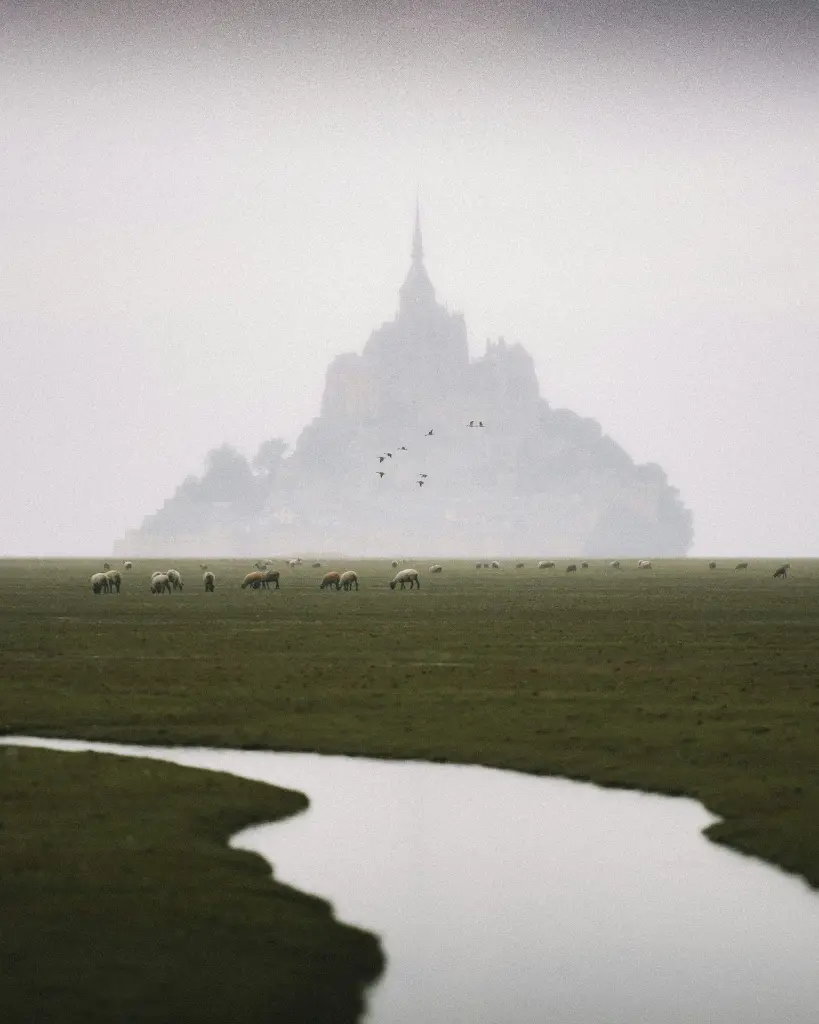 unsplash_sPl0aCqXz8c_France.webp.jpg.jpg.jpg.jpg.jpg.jpg.jpg.jpg.jpg.jpg