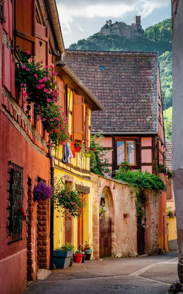 unsplash_5tnGpP4JDbQ_France.webp.jpg.jpg.jpg.jpg.jpg.jpg.jpg.jpg.jpg.jpg.jpg.jpg