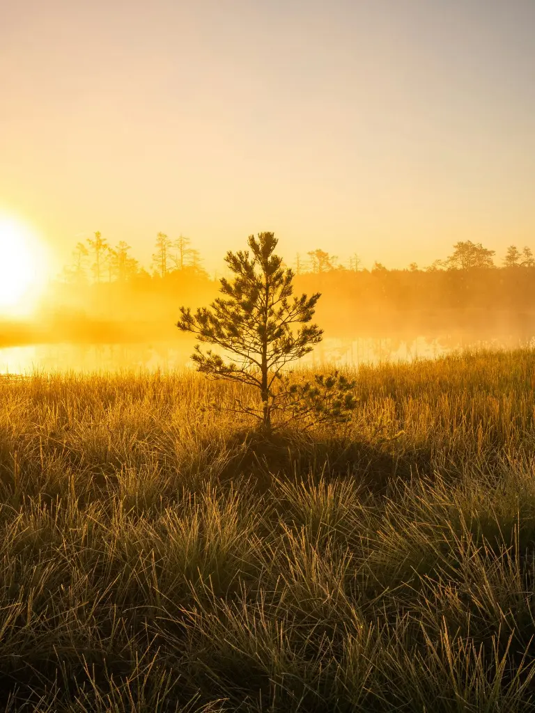 unsplash_paBDRf9CTg0_Estonia.webp.jpg.jpg.jpg.jpg