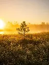 unsplash_paBDRf9CTg0_Estonia.webp.jpg.jpg.jpg.jpg
