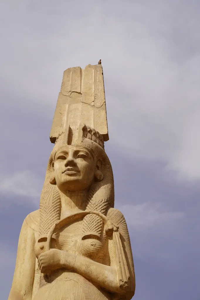 unsplash_REpzvnLyILY_CAIRO.webp.jpg.jpg.jpg.jpg.jpg