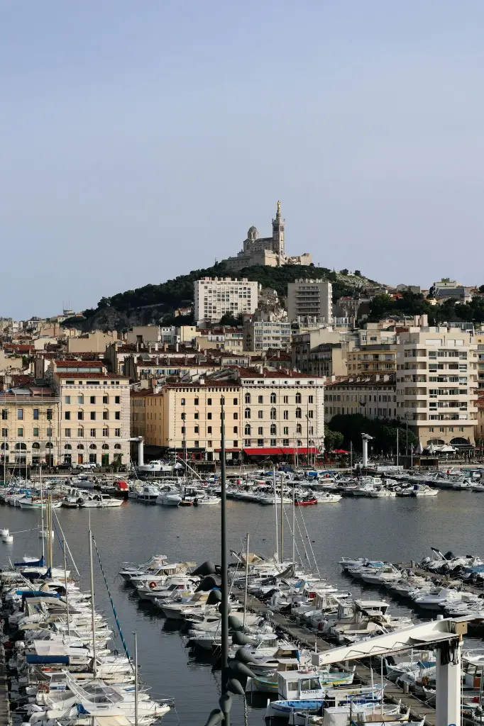 unsplash_poNmnNTZtlk_BLOIS.webp.jpg.jpg.jpg.jpg.jpg.jpg.jpg.jpg