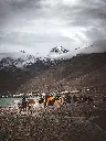 unsplash_5LEkpdrv1Tg_Himalayan .webp