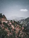 unsplash_uhPd-KKXIs0_Himalayan .webp.jpg
