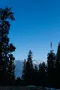 unsplash_l79mT7vOtrA_Himalayan .webp.jpg.jpg