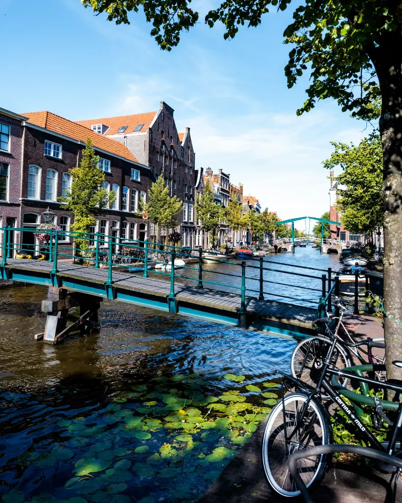 unsplash_PAjHJ_i9td8_NETHERLANDS.webp.jpg.jpg