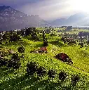 image_1920