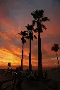 unsplash_fjhlncv_34I_Los Angles.webp.jpg.jpg.jpg
