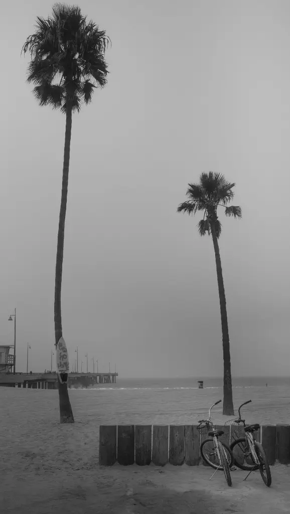 unsplash_kz33xLwUzs8_Los Angles.webp.jpg.jpg.jpg.jpg
