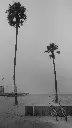 unsplash_kz33xLwUzs8_Los Angles.webp.jpg.jpg.jpg.jpg