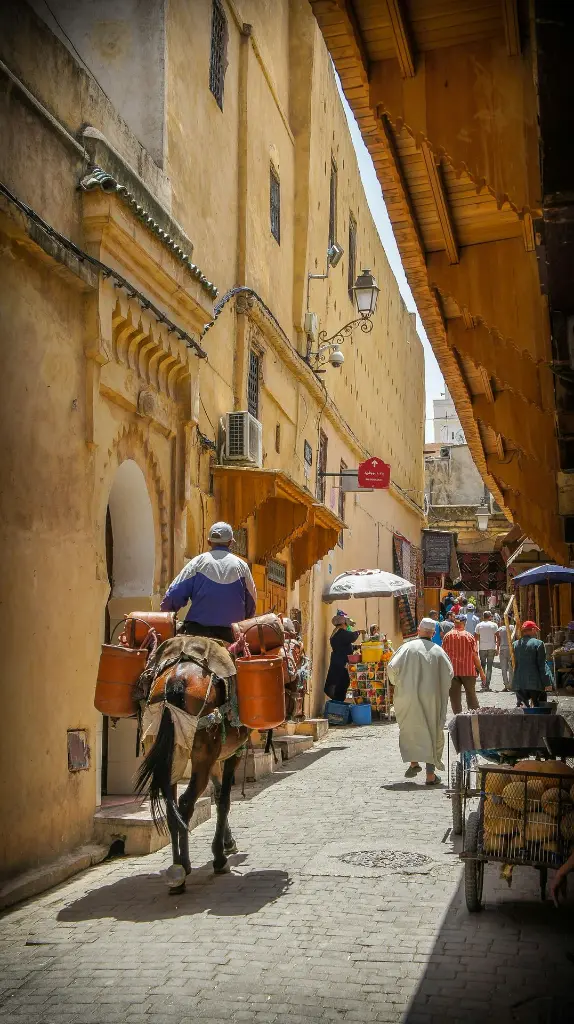 unsplash_lDIjGidOrQ0_mOROCCO.webp.jpg.jpg