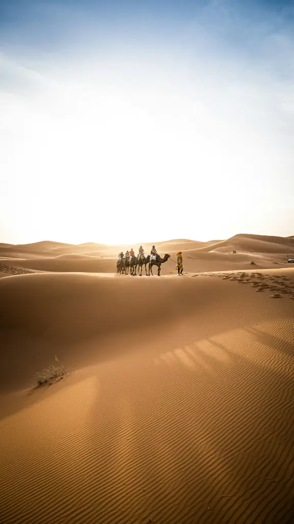 unsplash_oXNUbXuEpbQ_mOROCCO.webp.jpg.jpg.jpg.jpg.jpg.jpg.jpg