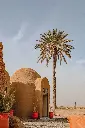 unsplash_TUG65bdx6P0_mOROCCO.webp.jpg.jpg.jpg.jpg.jpg.jpg.jpg.jpg.jpg.jpg