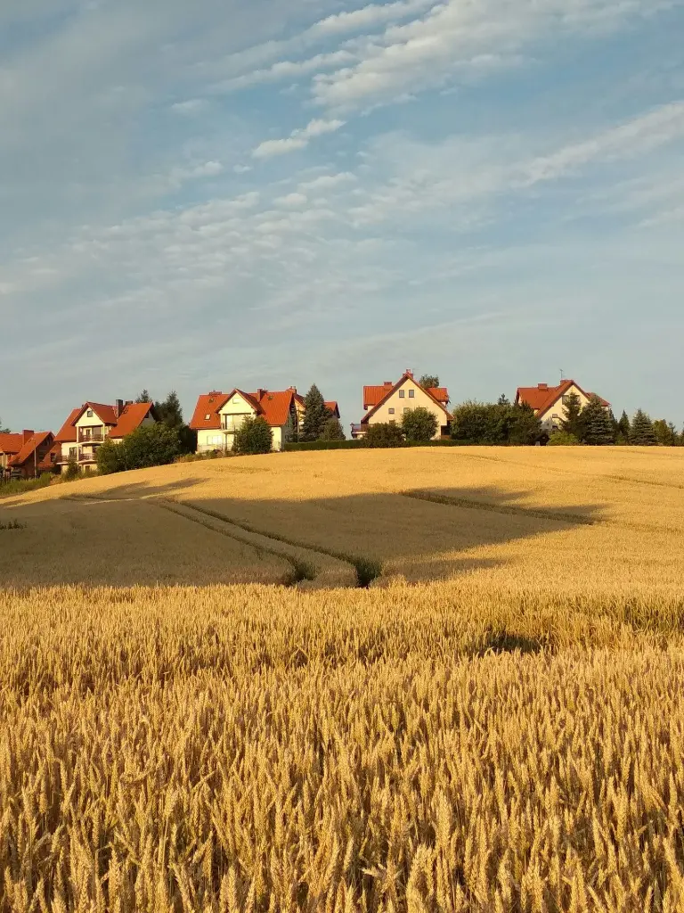 unsplash_4cm4UMvUie8_Poland.webp.jpg.jpg.jpg.jpg.jpg.jpg.jpg