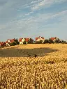 unsplash_4cm4UMvUie8_Poland.webp.jpg.jpg.jpg.jpg.jpg.jpg.jpg