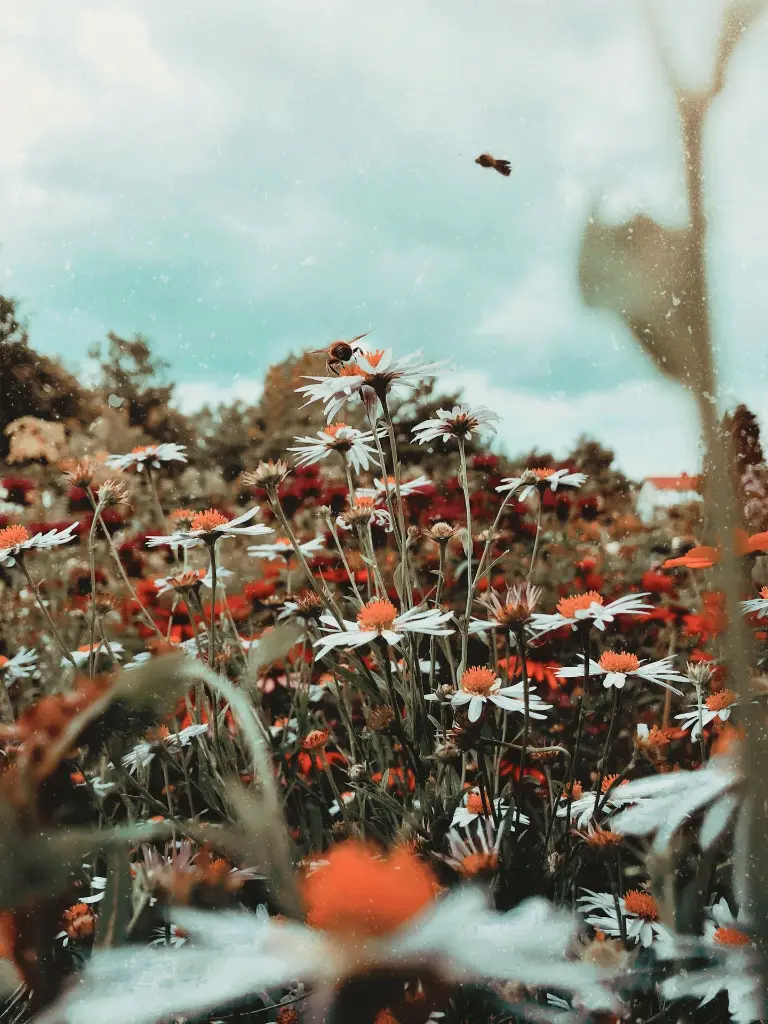 unsplash_4I5_jFYCrNg_Poland.webp.jpg.jpg.jpg.jpg.jpg.jpg.jpg.jpg