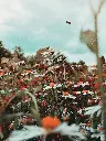unsplash_4I5_jFYCrNg_Poland.webp.jpg.jpg.jpg.jpg.jpg.jpg.jpg.jpg