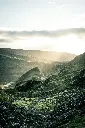 unsplash_bCm0kpA5tm4_Scotland.webp.jpg.jpg