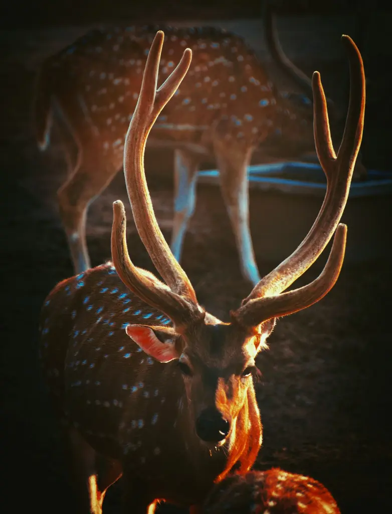unsplash_GkDr_GrfkVA_Nainital .webp.jpg