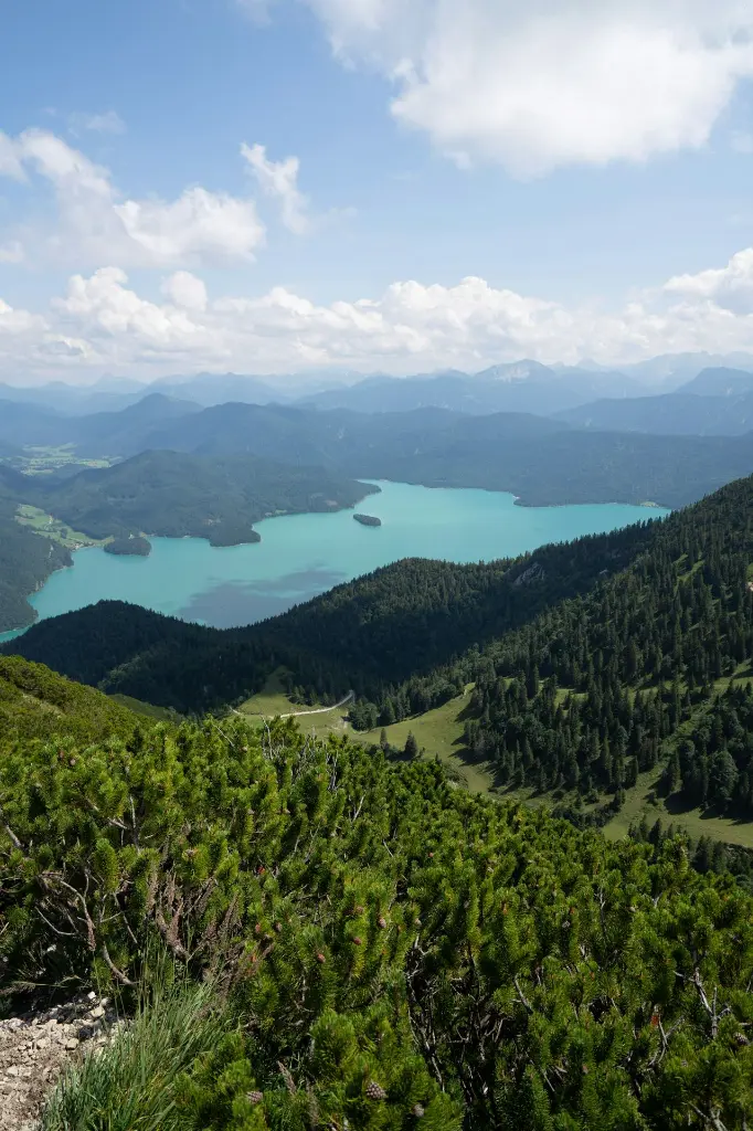 unsplash_mXRxlqW_2vg_Germany.webp.jpg.jpg.jpg.jpg.jpg.jpg.jpg.jpg.jpg.jpg.jpg.jpg.jpg.jpg