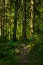 image_1920