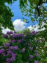 unsplash_ghn1Ozzvfsc_SWEDEN.webp.jpg.jpg.jpg.jpg.jpg.jpg