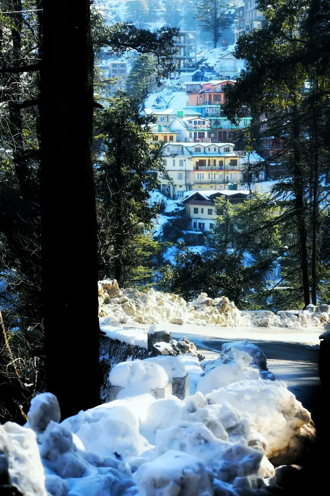 unsplash_citWL4jf5Hc_shimla.webp