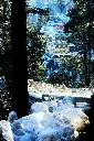 unsplash_citWL4jf5Hc_shimla.webp