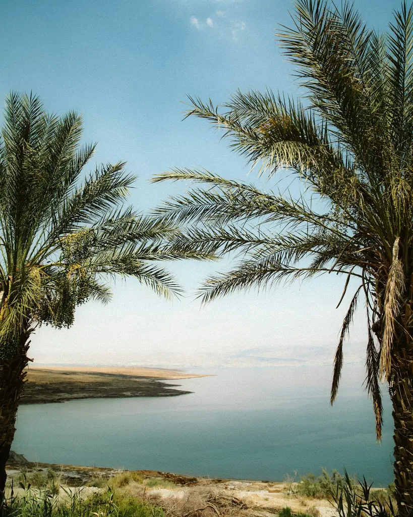 unsplash_ObVCSz0f-rY_Isreal.webp