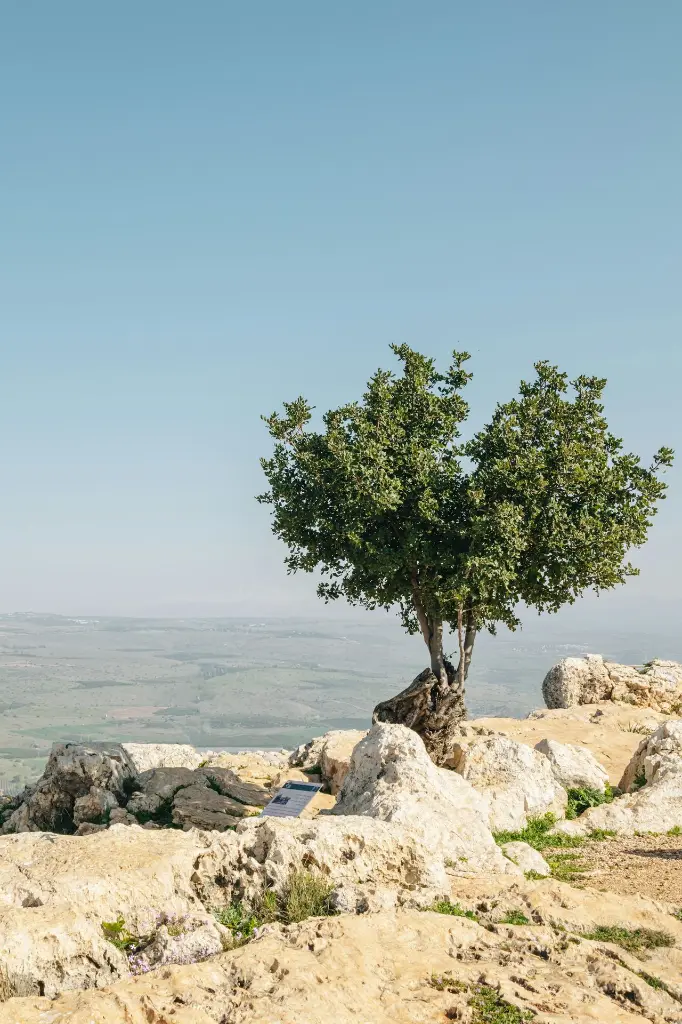 unsplash_lGyu5dKnCMA_Isreal.webp.jpg.jpg.jpg